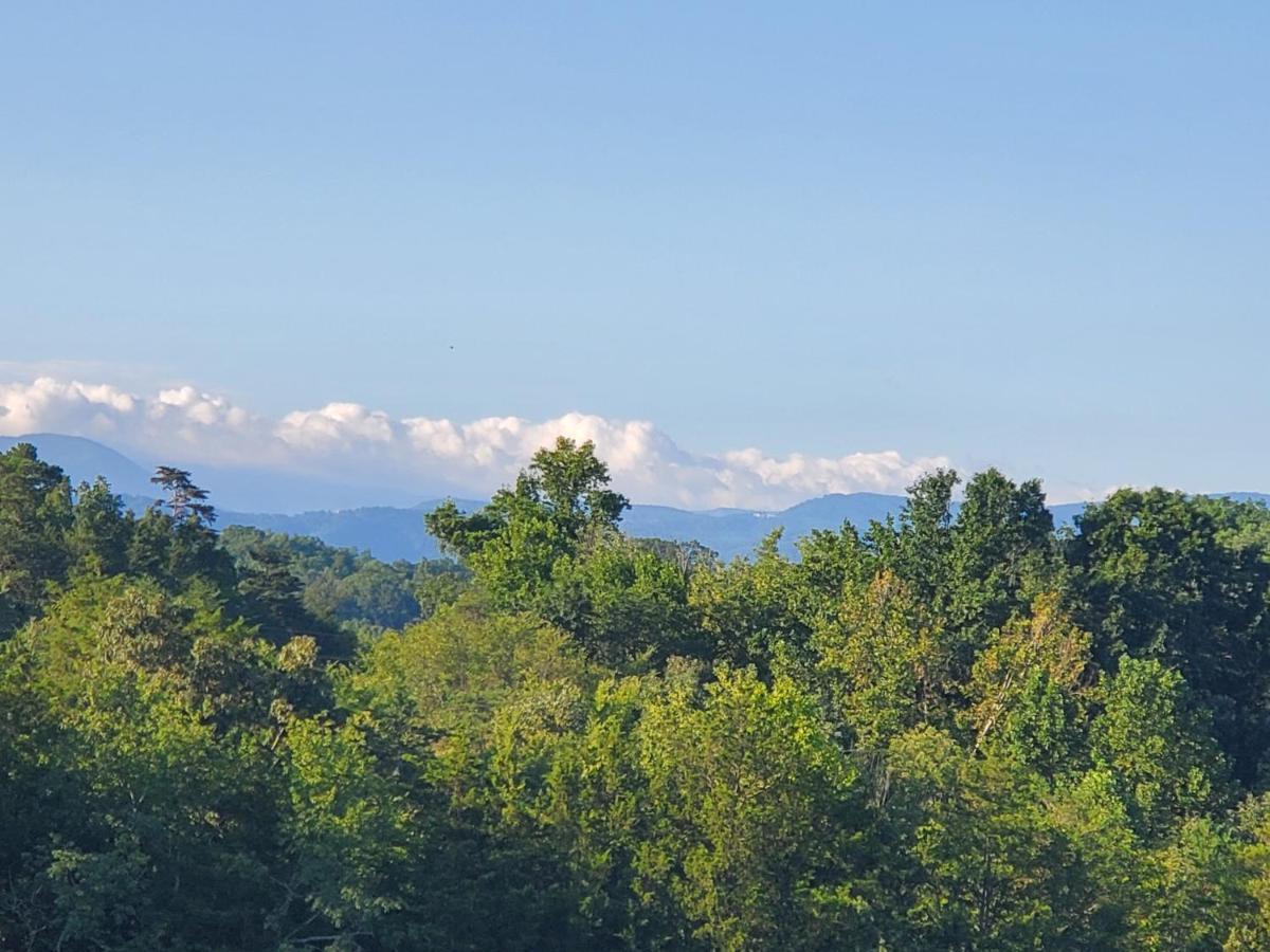 Huny Bear Lodge Pigeon Forge Ngoại thất bức ảnh